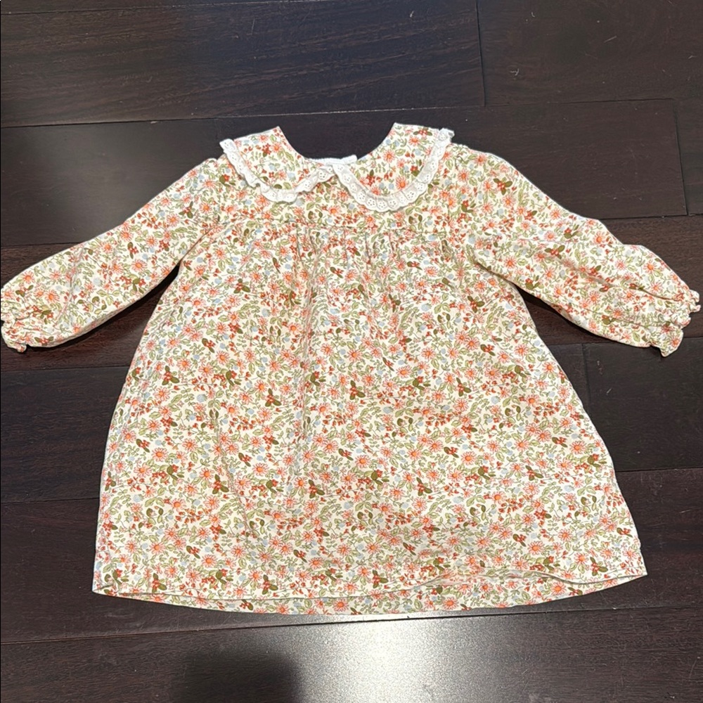 Cecil and Lou 2T Floral Long Sleeve Dress
